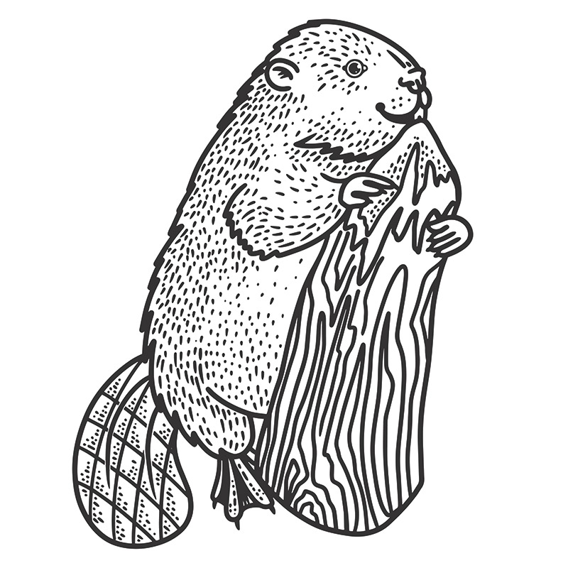 The Perfect Christmas Tree | Daily Reader | Smokingpipes.com