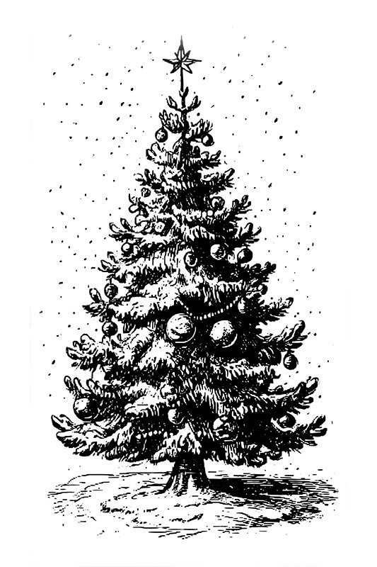 The Perfect Christmas Tree | Daily Reader | Smokingpipes.com