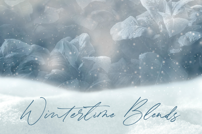 Wintertime Blends For 2025