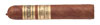 100th Anniversary Robusto