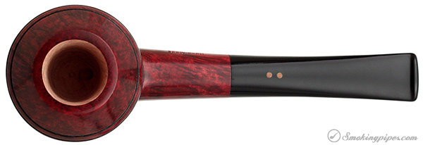 Radice Rubino Rhodesian