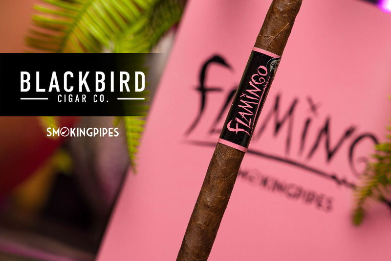 SmokeRings: Blackbird Flamingo  | Daily Reader