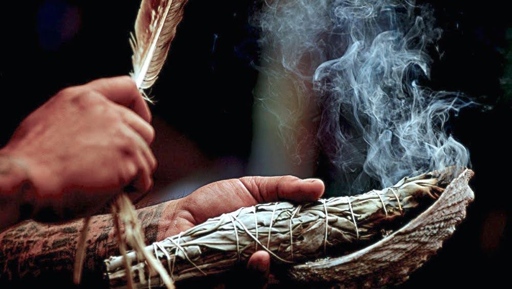 The Ghost Pipe | Daily Reader