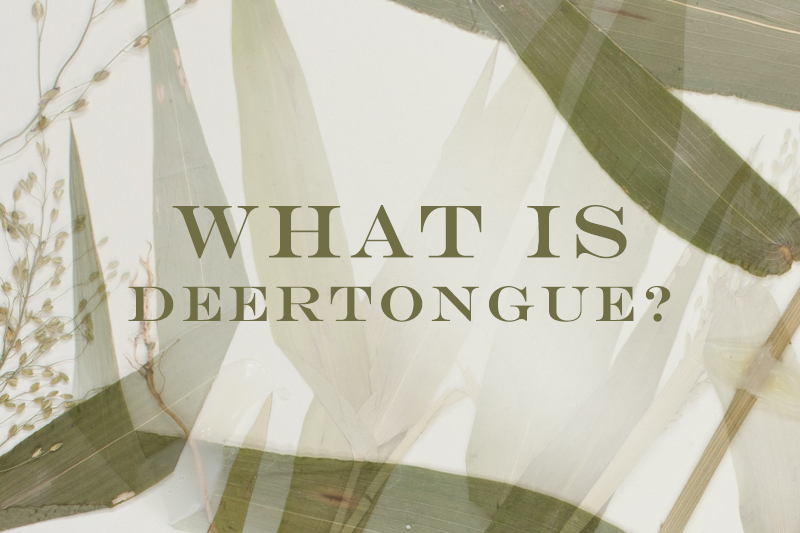 Top 10 Best-Selling Mac Baren Pipe Tobacco Blends | Daily Reader