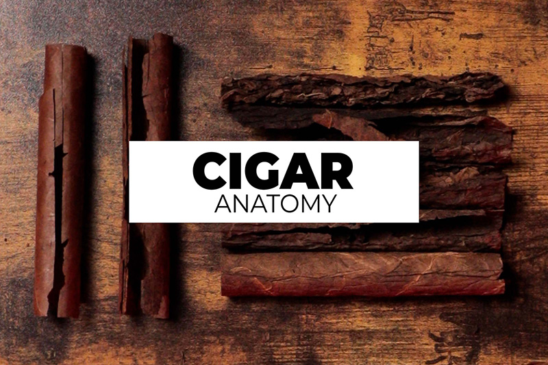 Cigar Anatomy: The Components Of A Cigar