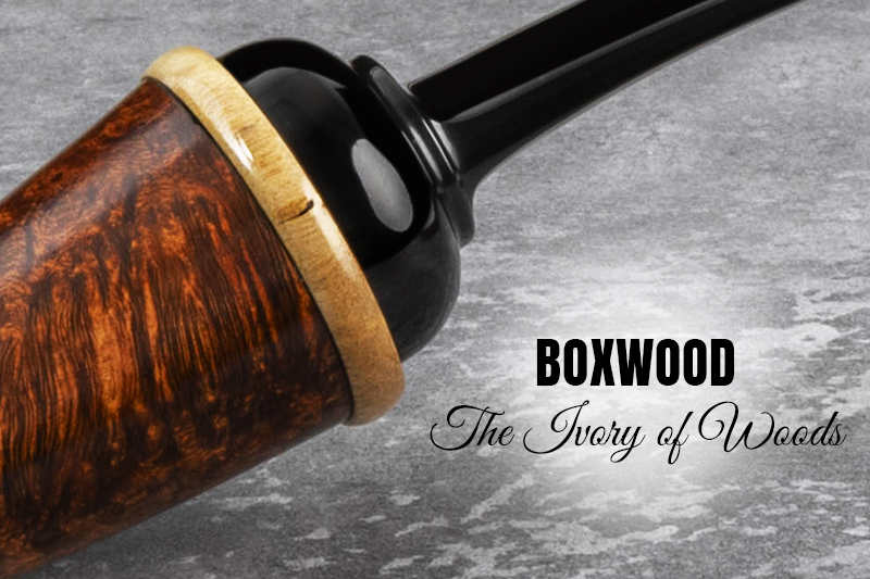 Boxwood: The Ivory of Woods