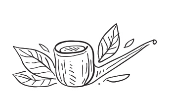A Smoker's Guide to Palate Refinement | Daily Reader