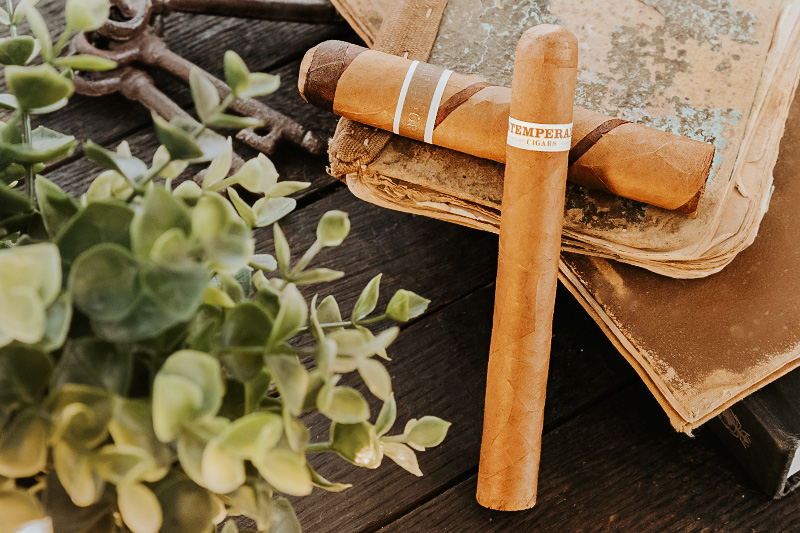 RoMa Craft Cigars: The Story Behind the Brand with Co-Owner Michael Rosales | Daily Reader