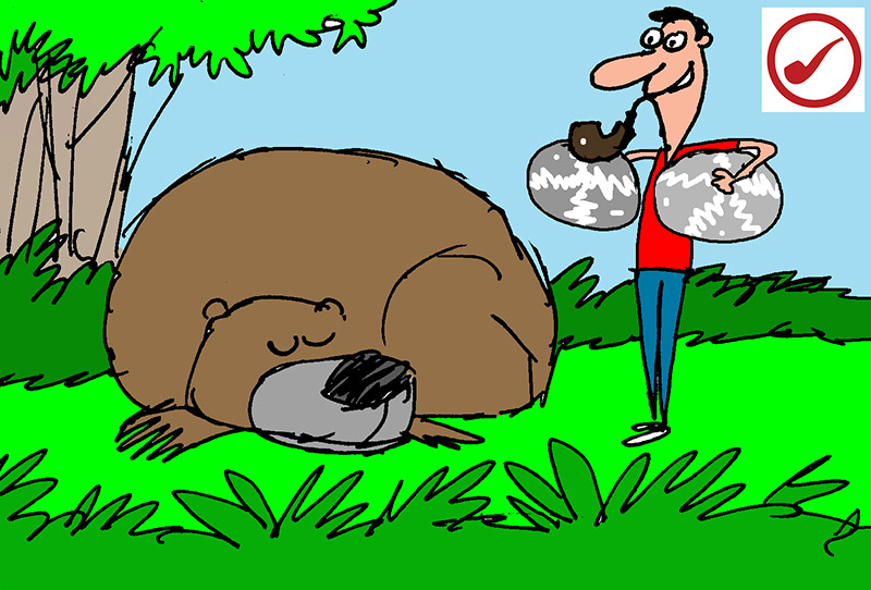 Bear Attacks and Pipe Smoking | Daily Reader