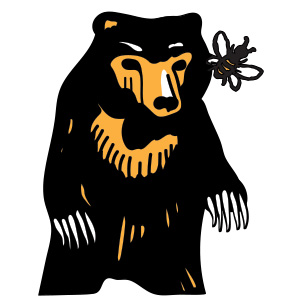 Bear Attacks and Pipe Smoking | Daily Reader