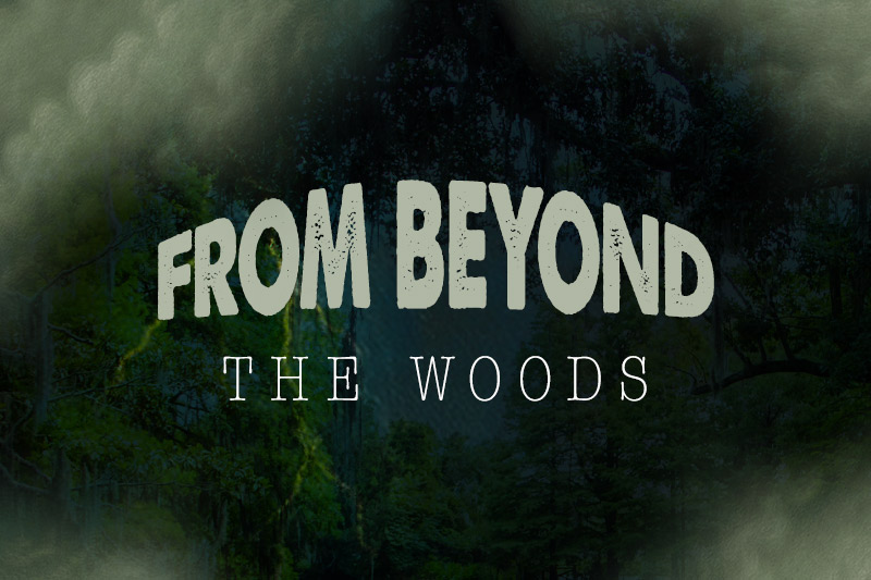 From Beyond The Woods: A Tale From Appalachia 