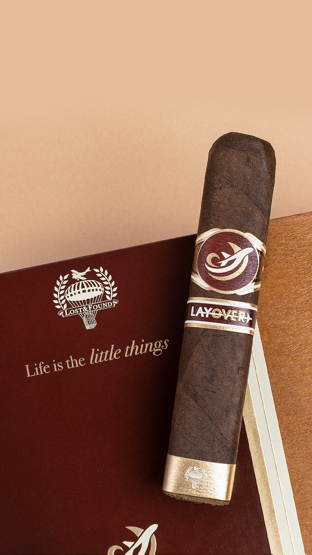 Lost & Found
The Layover