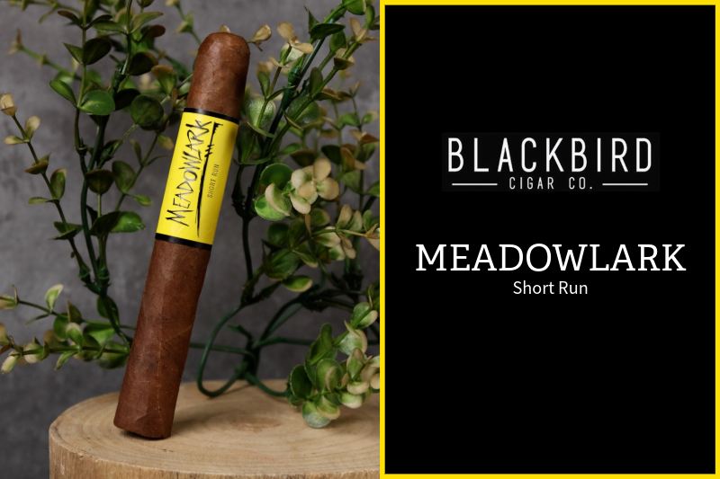 Meadowlark from Blackbird Cigars with Jonas Santana 