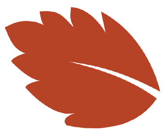 The Tale of the Mighty Cesurians | Folklore | Daily Reader