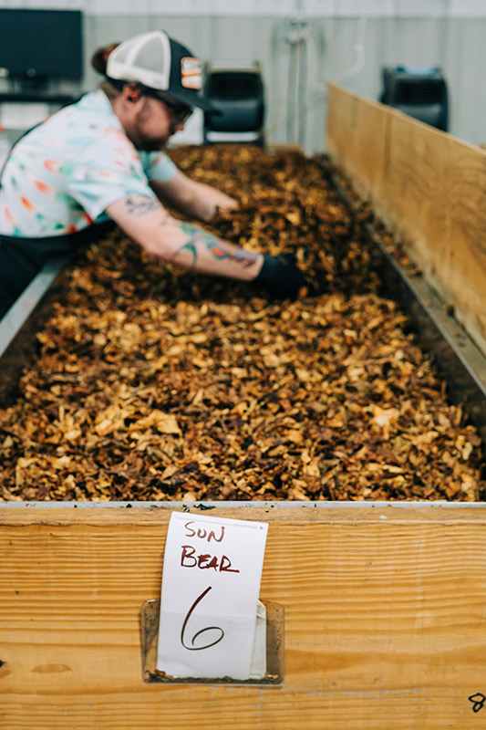 Small Batch: Sun Bear Navy Cask | Daily Reader