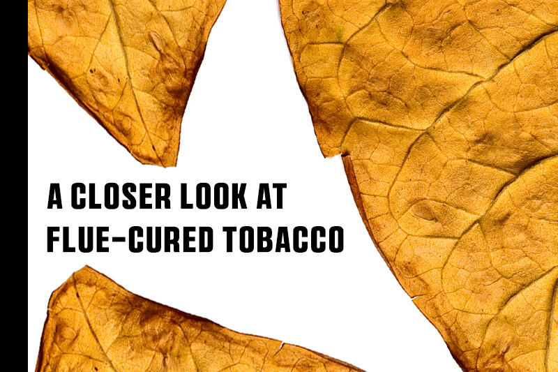 A Closer Look at Flue-Cured Tobacco | Daily Reader