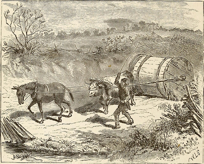 The Barrels That Built An Industry | Daily Reader