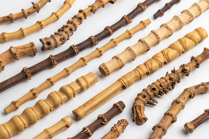 The History and Introduction of Bamboo in Pipe Making | Daily Reader
