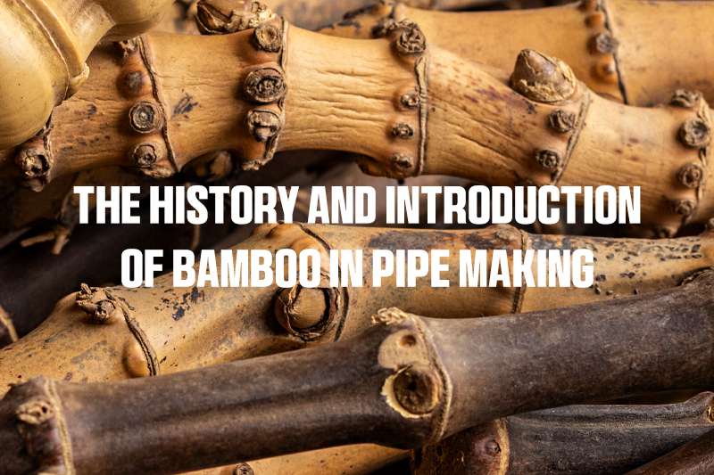 The History and Introduction of Bamboo in Pipe Making 