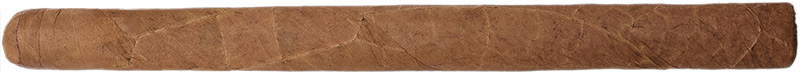 History of the Lancero | Daily Reader