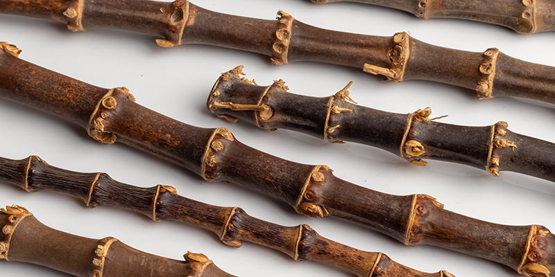 Bamboo in Modern Pipe Making: Natural & Unique Beauty | Daily Reader