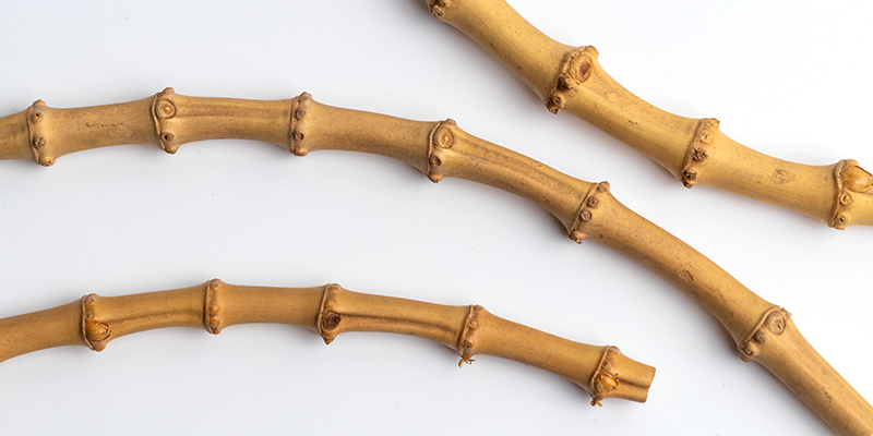 Bamboo in Modern Pipe Making: Natural & Unique Beauty | Daily Reader