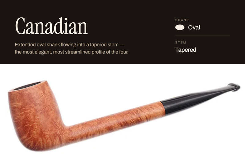 Breaking Down Canadian Family Shapes | Daily Reader