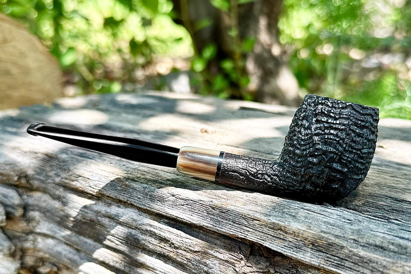 Michael Parks Billiard with Horn | Daily Reader