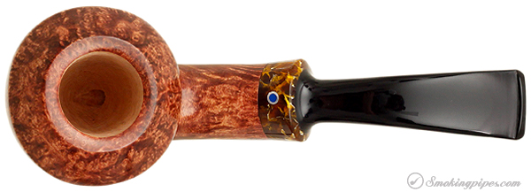 Ardor Giove Bent Rhodesian