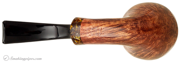 Ardor Giove Bent Rhodesian
