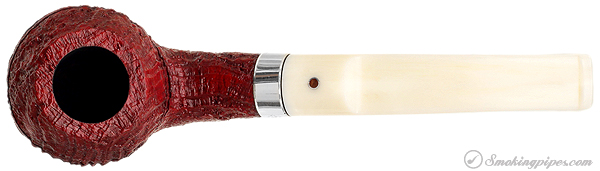 Ashton Claret Rhodesian with Silver (XX)