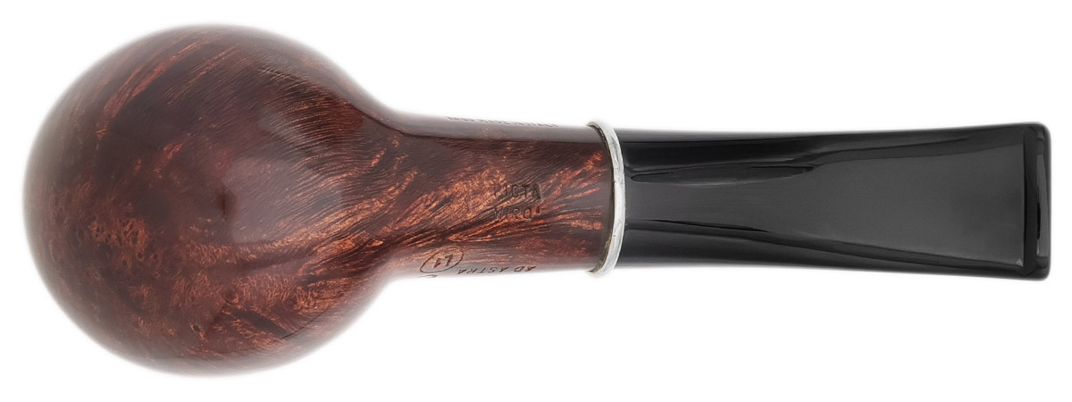 Ser Jacopo Picta Miro Smooth Hawkbill with Silver (L1) (C) (1)