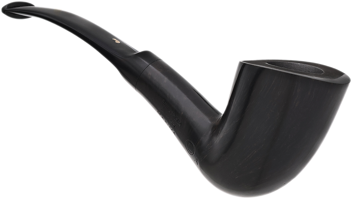 Ser Jacopo Smooth Bent Dublin (L) (A) (Maxima)
