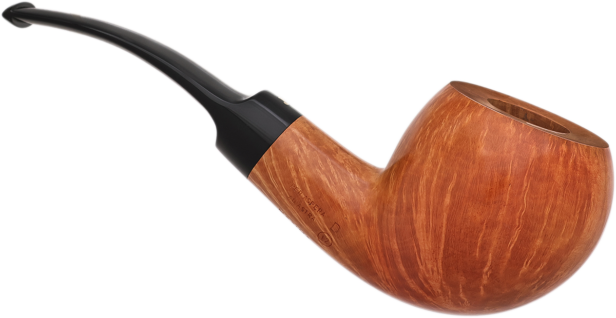 Ser Jacopo Smooth Bent Ball (L2) (D) (Maxima Maxima Maxima Maxima)