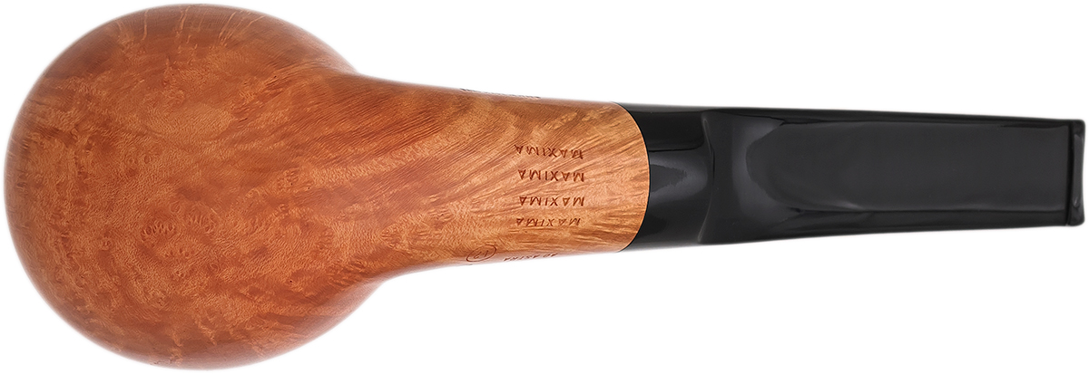 Ser Jacopo Smooth Bent Ball (L2) (D) (Maxima Maxima Maxima Maxima)