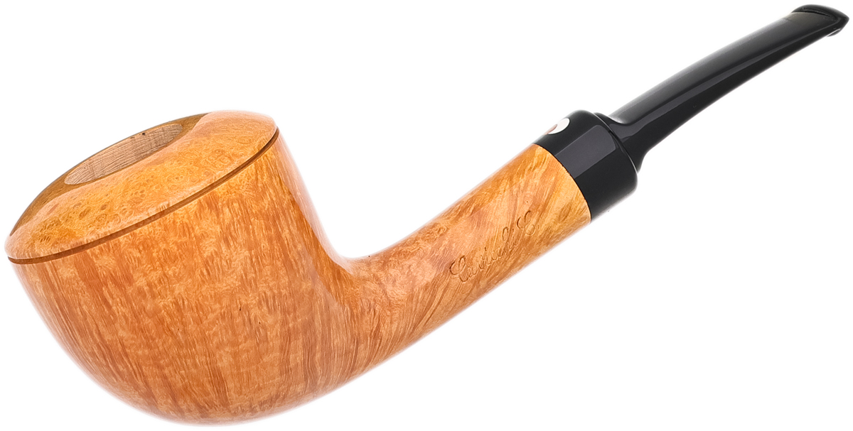 Claudio Cavicchi Smooth Rhodesian (CCC)