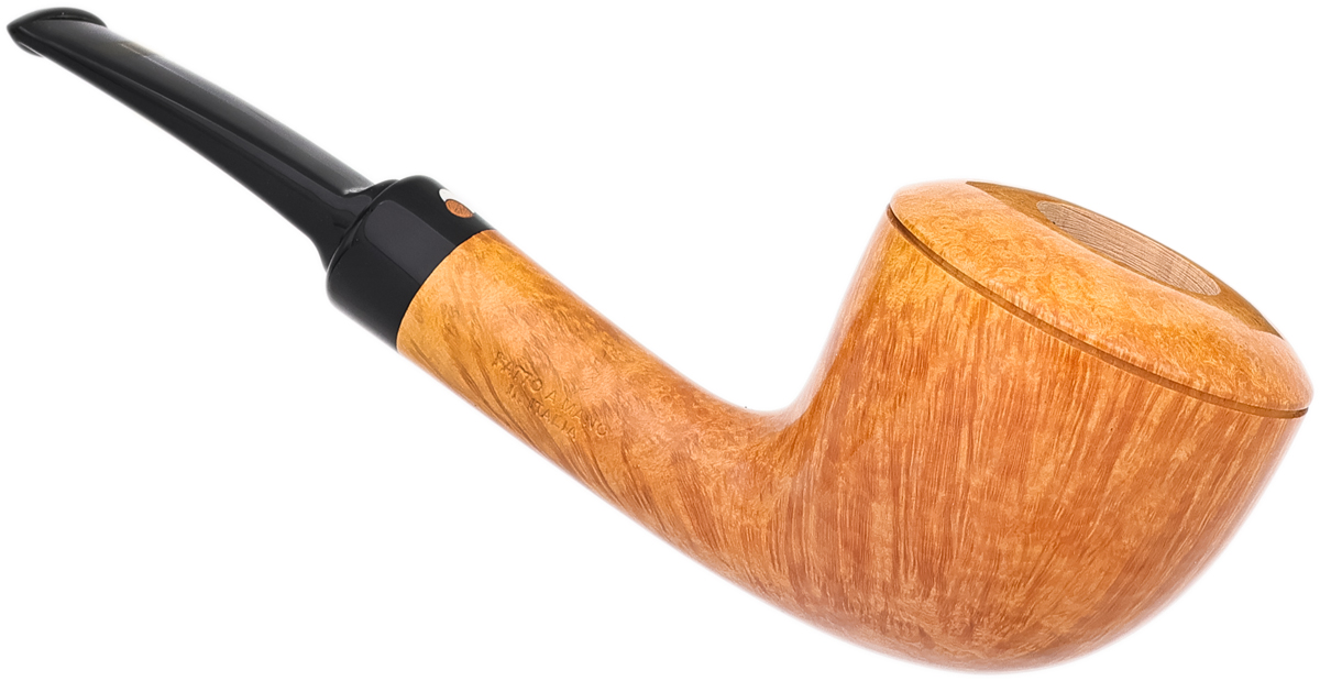 Claudio Cavicchi Smooth Rhodesian (CCC)