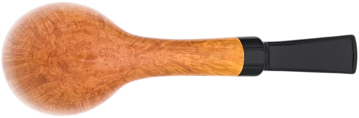 Claudio Cavicchi Smooth Rhodesian (CCC)