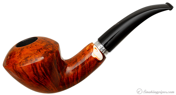 Nording Smooth Rhodesian (16)