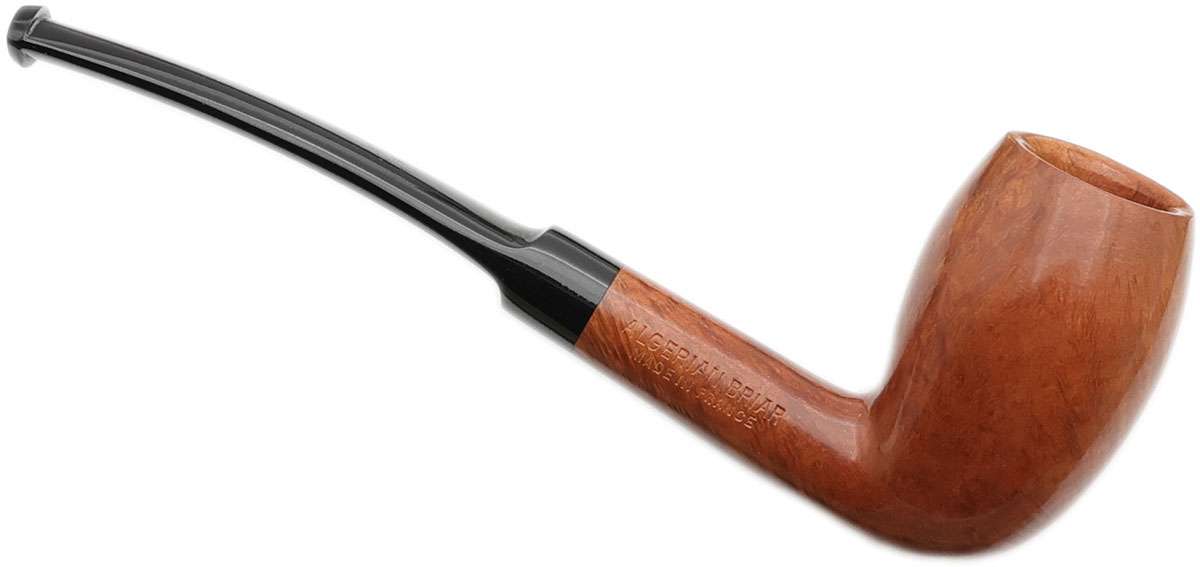 Ropp Algerian Superior Acorn