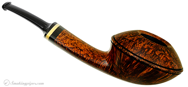Alexander Tupitsyn Smooth Rhodesian with Boxwood