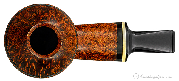 Alexander Tupitsyn Smooth Rhodesian with Boxwood
