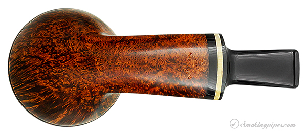 Alexander Tupitsyn Smooth Rhodesian with Boxwood