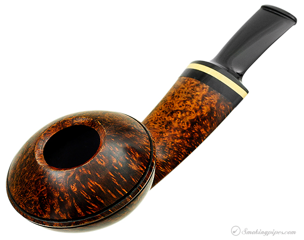 Alexander Tupitsyn Smooth Rhodesian with Boxwood