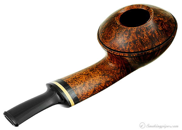 Alexander Tupitsyn Smooth Rhodesian with Boxwood