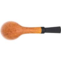 Claudio Cavicchi Smooth Rhodesian (CCC)