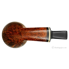Alexander Tupitsyn Smooth Rhodesian with Boxwood