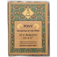 Casdagli Daughters of The Wind Limited Edition The Pony