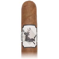 Lost & Found Backstroke Bambi Toro